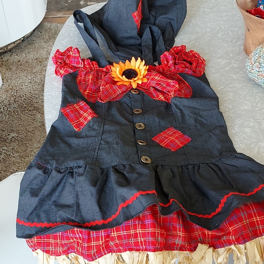 Scarecrow Costume